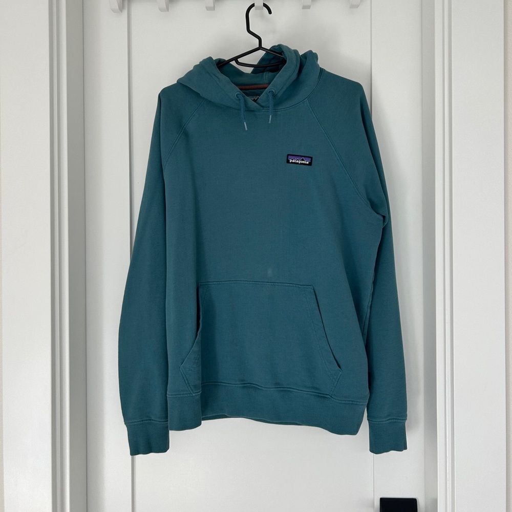 Teal Patagonia Hoodie